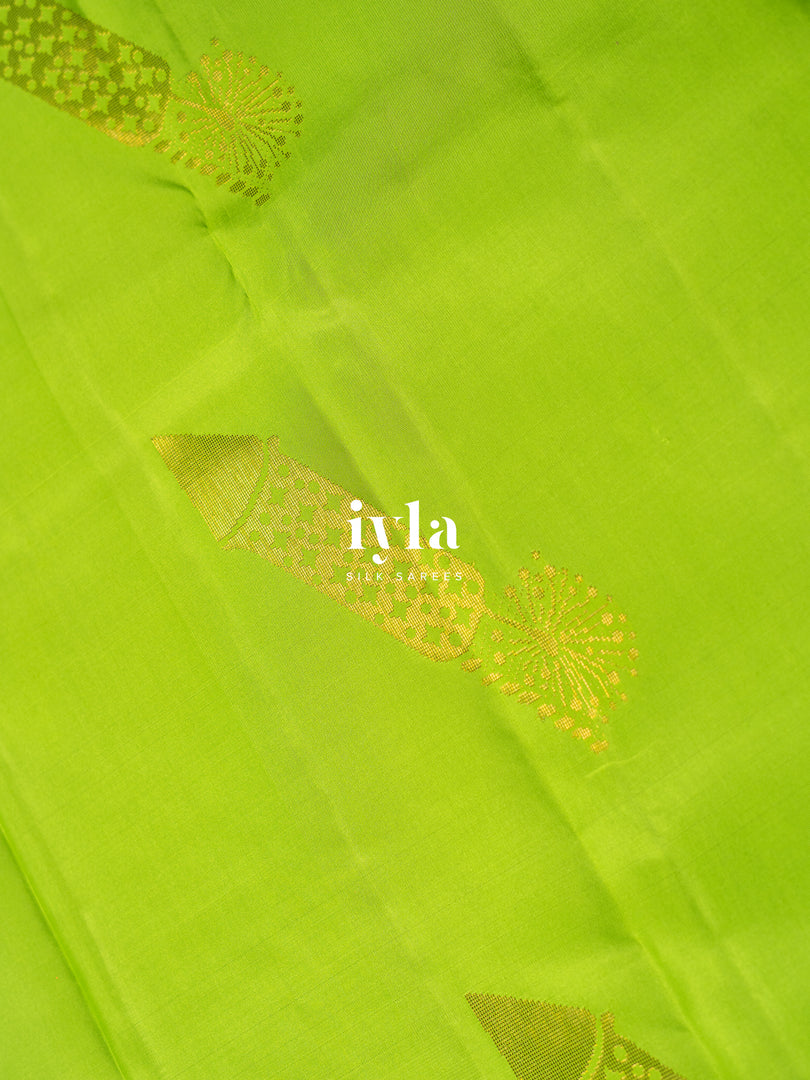 The Nine-Hued Dynamic Diwali Kanjeevaram