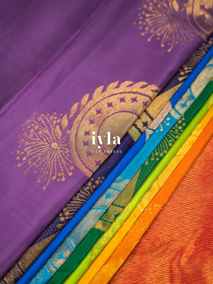 The Nine-Hued Dynamic Diwali Kanjeevaram