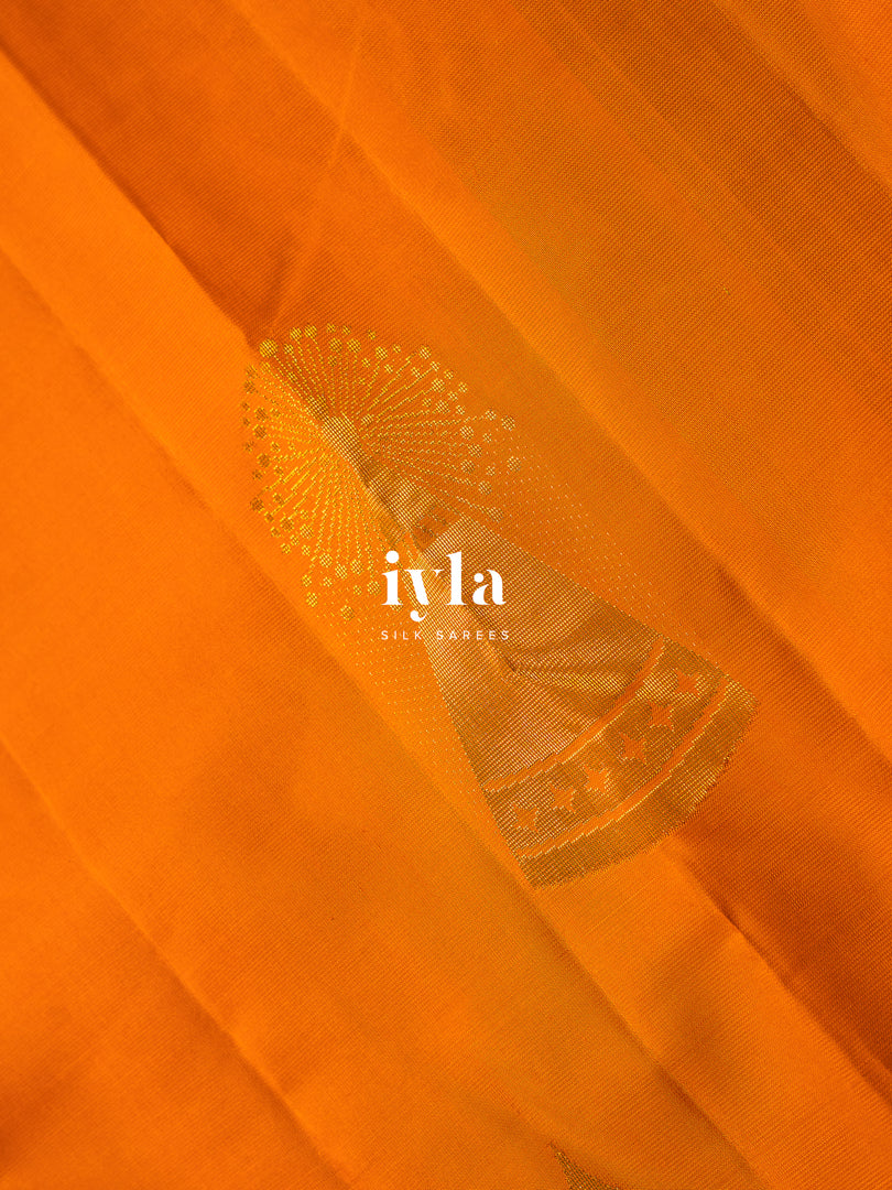 The Nine-Hued Dynamic Diwali Kanjeevaram
