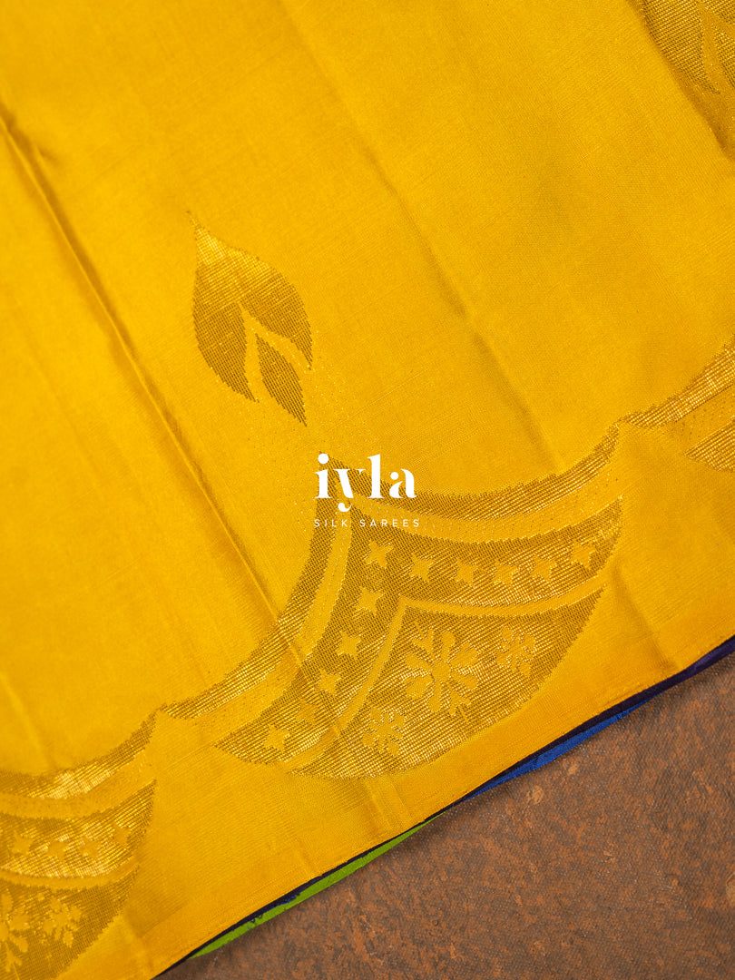 The Nine-Hued Dynamic Diwali Kanjeevaram
