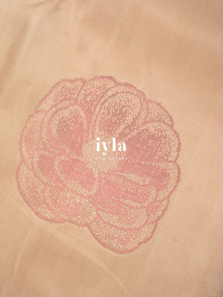 The Amaryllis Colorburst Kanjeevaram in Champagne Beige