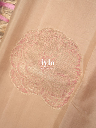 The Amaryllis Colorburst Kanjeevaram in Champagne Beige