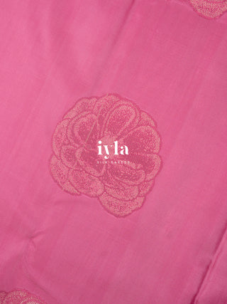 The Amaryllis Colorburst Kanjeevaram in Champagne Beige