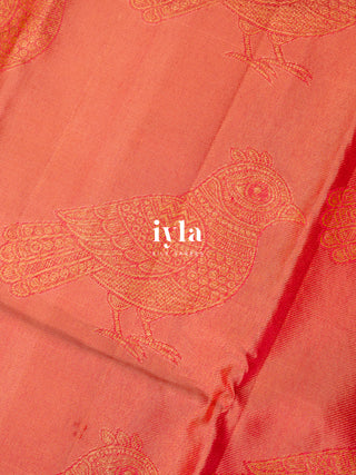 The Kalamkari Bird Garden Kanjeevaram in Peach Orange