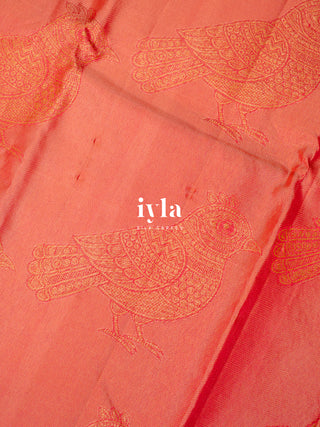 The Kalamkari Bird Garden Kanjeevaram in Peach Orange