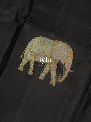 The Black Elephant Glory Kanjeevaram
