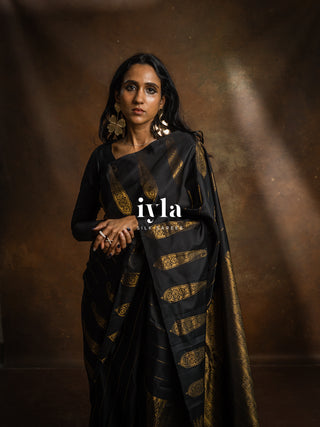 The Obsidian Black Paisley Kanjeevaram