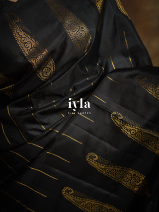 The Obsidian Black Paisley Kanjeevaram