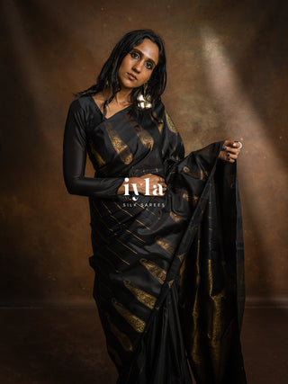 The Obsidian Black Paisley Kanjeevaram