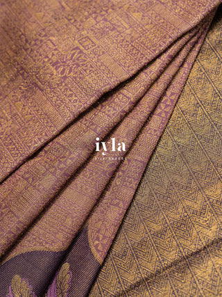 The Antique Purple Chronicles Kanjeevaram