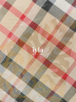 The Classic Burberry Checkered Kanjeevaram