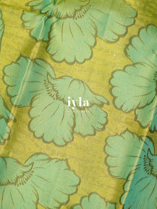 The Poppy Bloom Kanjeevaram in Pear Green