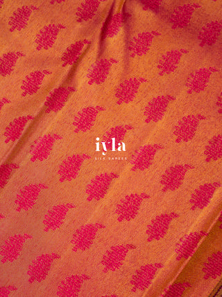 The Lotus Bloom Theory Kanjeevaram in Walnut Brown