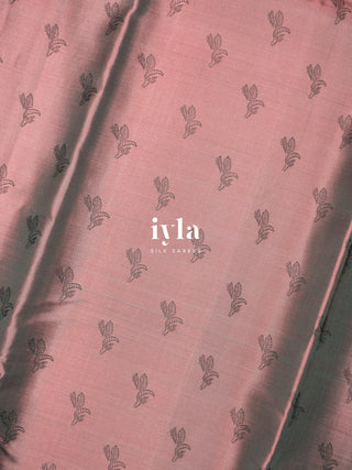 The Banana Grove Whisper Silk Saree in Blush Taupe