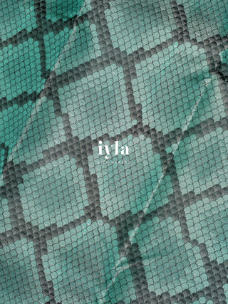 The Wild Geometric Kanjeevaram in Turquoise