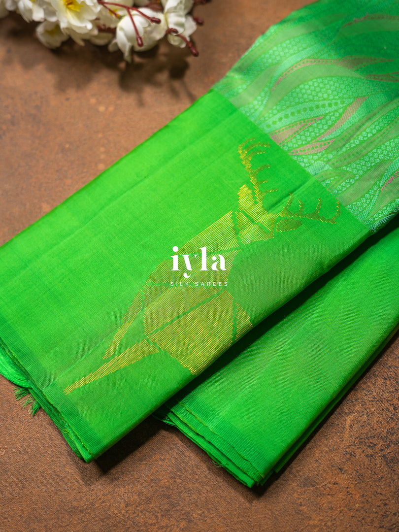 The Indian Sambar Deer Kanjeevaram in Kelly Green