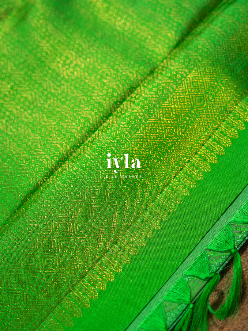 The Indian Sambar Deer Kanjeevaram in Kelly Green