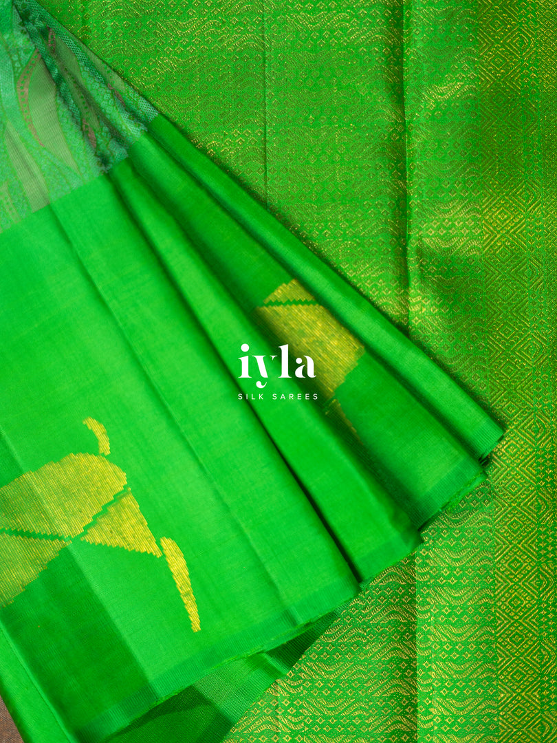 The Indian Sambar Deer Kanjeevaram in Kelly Green