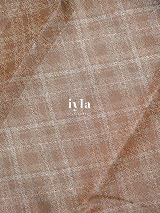 The Elephant in Power Plaid Kanjeevaram