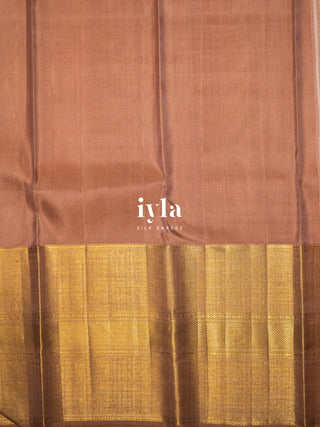 The Aura of Identity Kanjeevaram in Champagne Beige