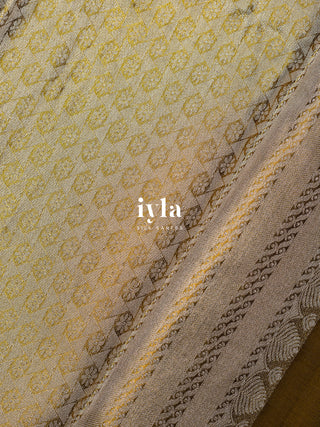 The Timeless Glow Kanjeevaram in Champagne Gold