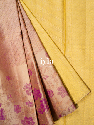 The Almond Bisque Blossom Edit Kanjeevaram