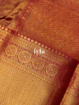 The Peacock Symphony Kanjeevaram in Apricot Orange