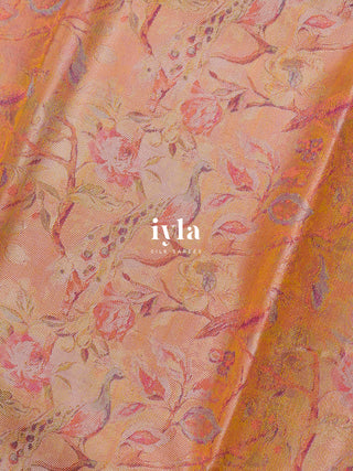The Peacock Symphony Kanjeevaram in Apricot Orange