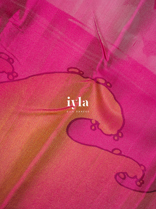 The Ocean in the whispering sky Kanjeevaram