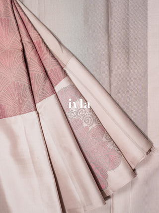 The whispers of the Ocean Kanjeevaram