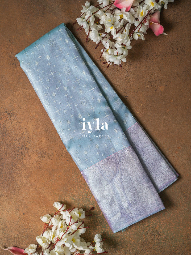 The Frozen Kanjeevaram Silk Saree