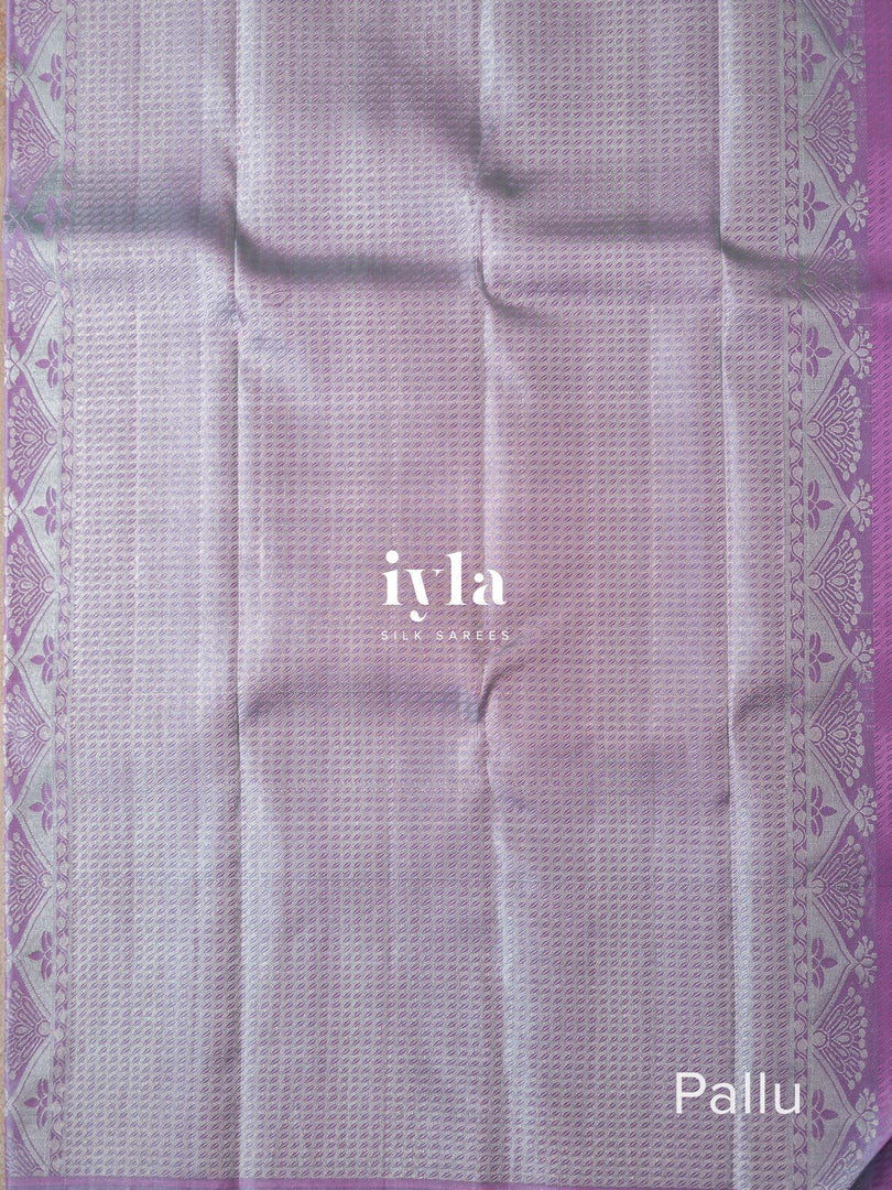 The Frozen Kanjeevaram Silk Saree