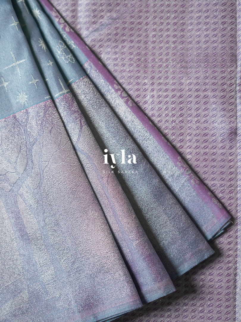 The Frozen Kanjeevaram Silk Saree