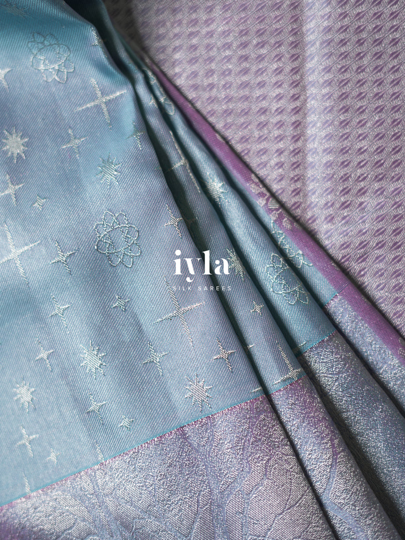 The Frozen Kanjeevaram Silk Saree