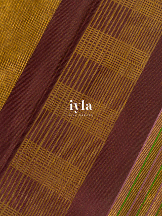 The Not So Ordinary Kanjeevaram in Chestnut Brown