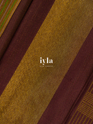 The Not So Ordinary Kanjeevaram in Chestnut Brown