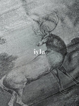 The Reversible Deer Kanjeevaram in Charcoal Black