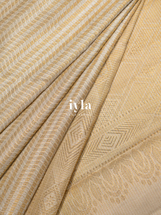 The Timeless Glow Kanjeevaram in Metallic Gold & Silver