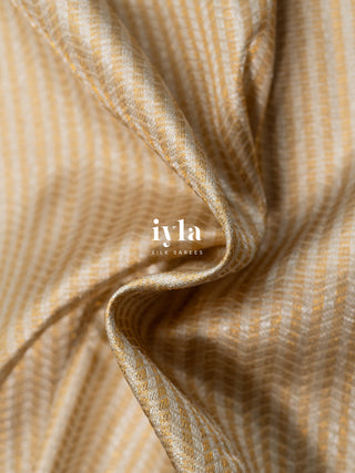The Timeless Glow Kanjeevaram in Metallic Gold & Silver