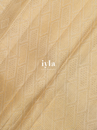 The Timeless Glow Kanjeevaram in Metallic Gold & Silver