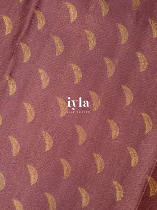 The Birds of Paradise Silk Saree in Apricot Peach