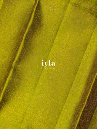 The Birds on Blooming Magnolia Kanjeevaram in Chartreuse Green