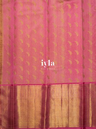 The whispering Garden of colours Kanjeevaram