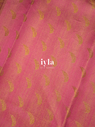 The whispering Garden of colours Kanjeevaram