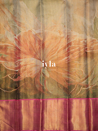 The whispering Garden of colours Kanjeevaram