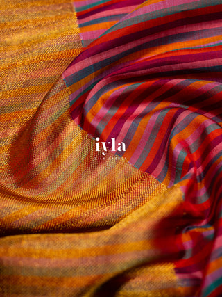 The Whimsical Colour Story Kanjeevaram