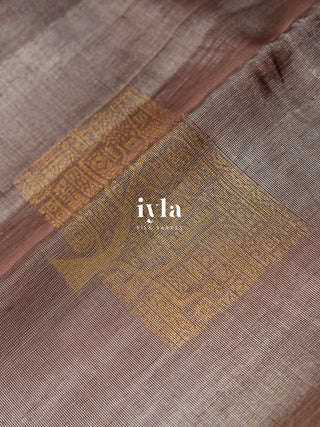 The Enchanted Grove Kanjeevaram in Metallic Brown