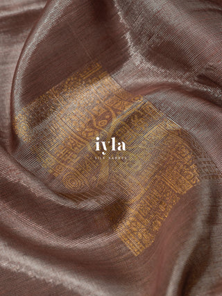 The Enchanted Grove Kanjeevaram in Metallic Brown