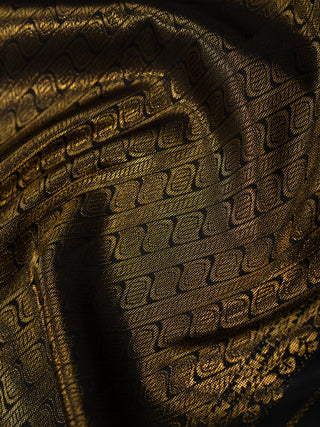 The Signature Burberry Checkered Kanjeevaram