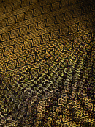 The Signature Burberry Checkered Kanjeevaram